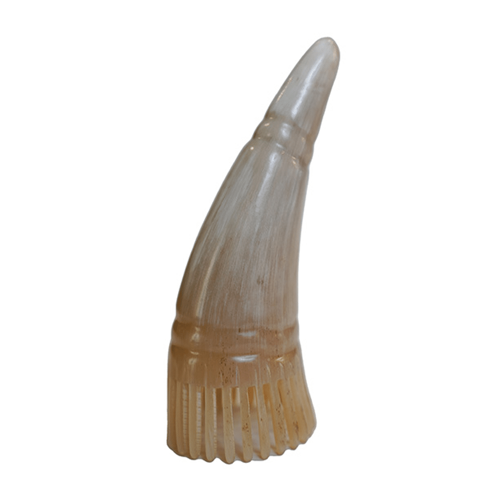 horn ماساژور شاخ بوفالو اسکالپ