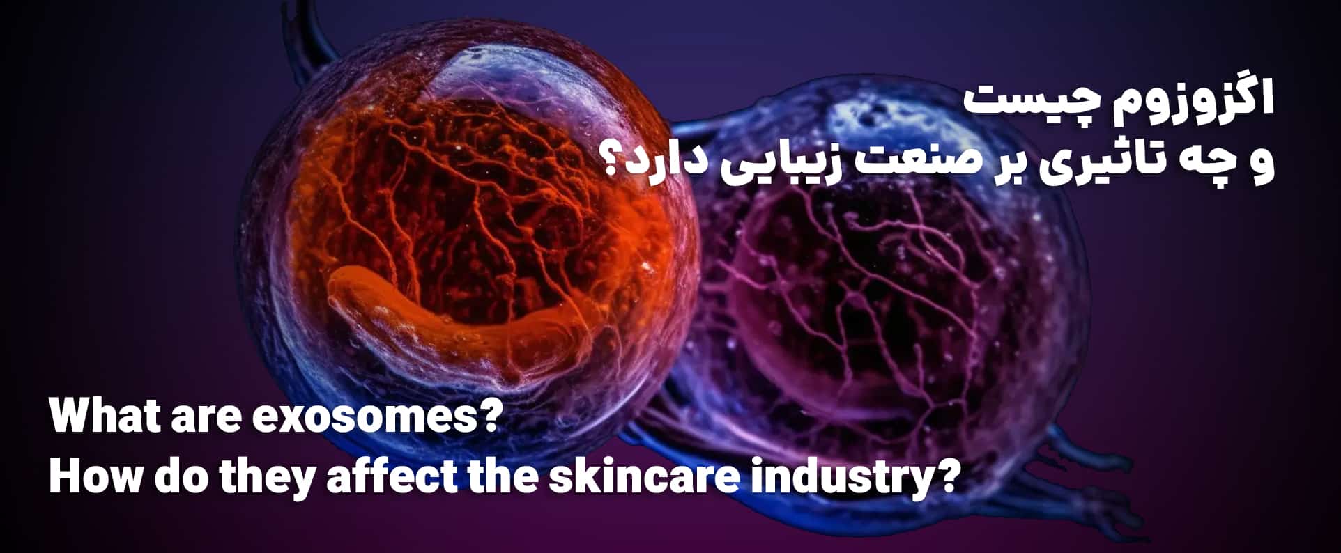 اگزوزوم